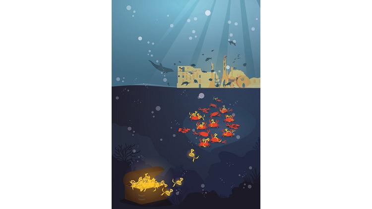 Stilizzazione AptaDiR