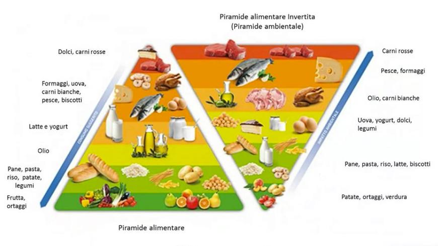 piramidi alimentari