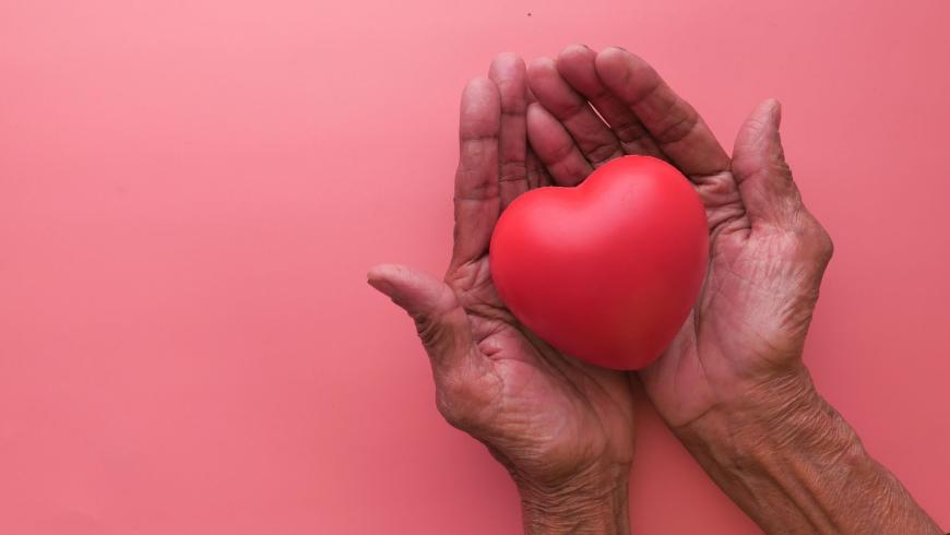 Donazione di organi