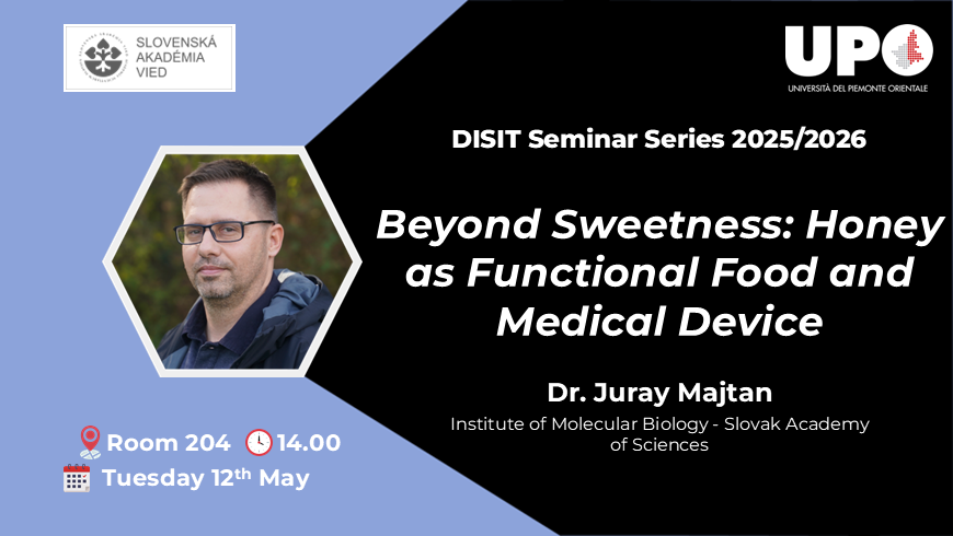 Disit Seminar Series