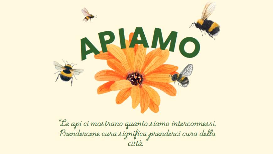 ApiAmo